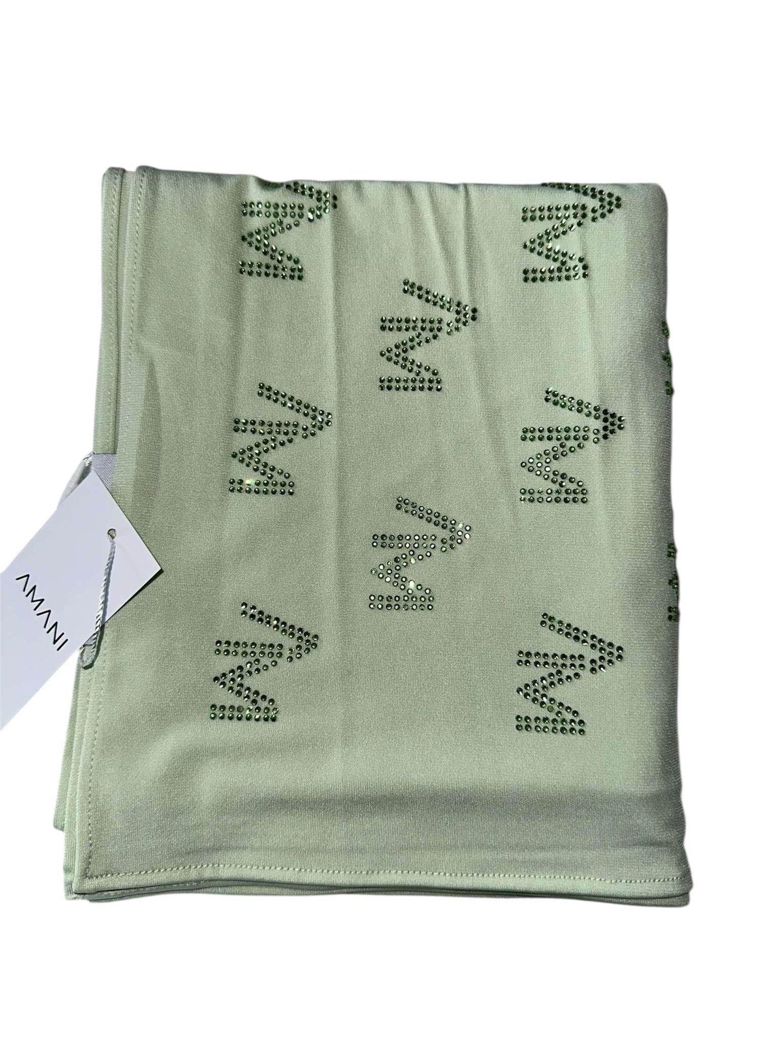 Jersey premium AM vert pastel